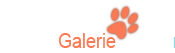 Galerie